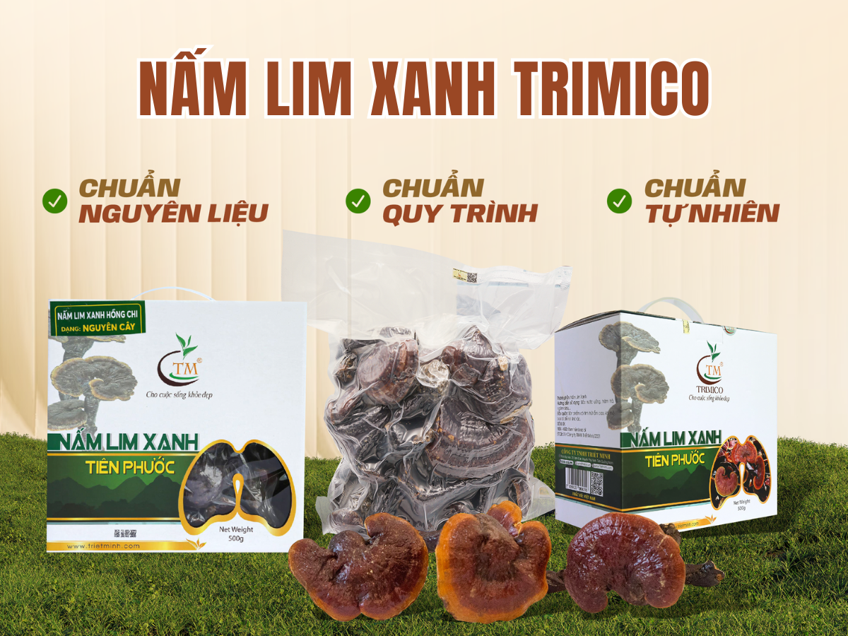 Bán nấm Lim Xanh tại Hà Nội
